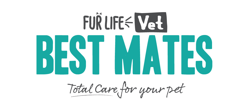 Best-Mates-Logo-teal-dark-grey