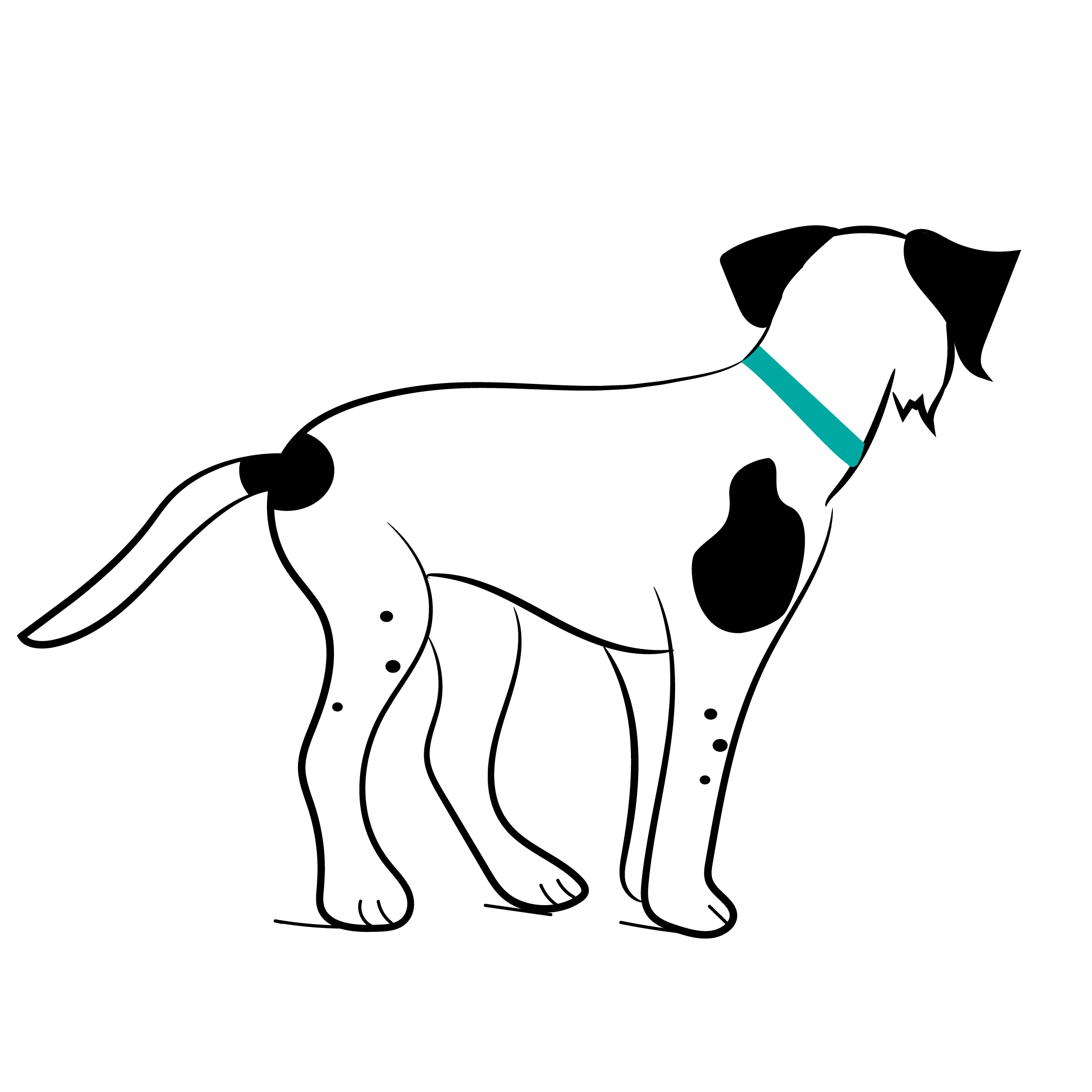 ignoring-dog-illustration